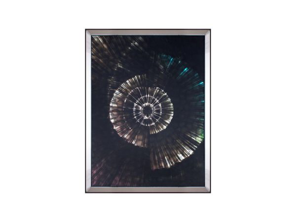 732OZV000916