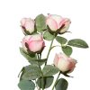900JIA000028 - Görsel 2