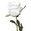 900JIA000043 - Görsel 2