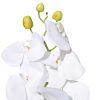 900JIA000053 - Görsel 2